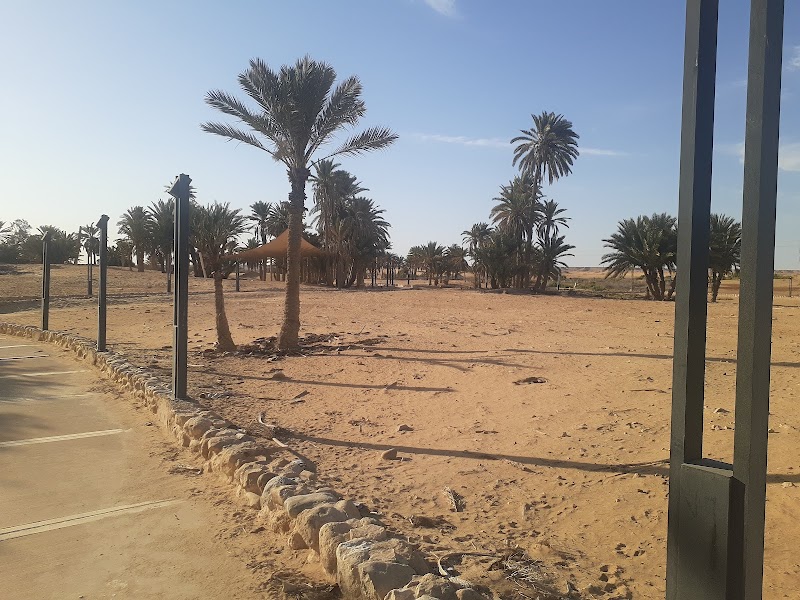 Moses Springs (Ayun Musa)