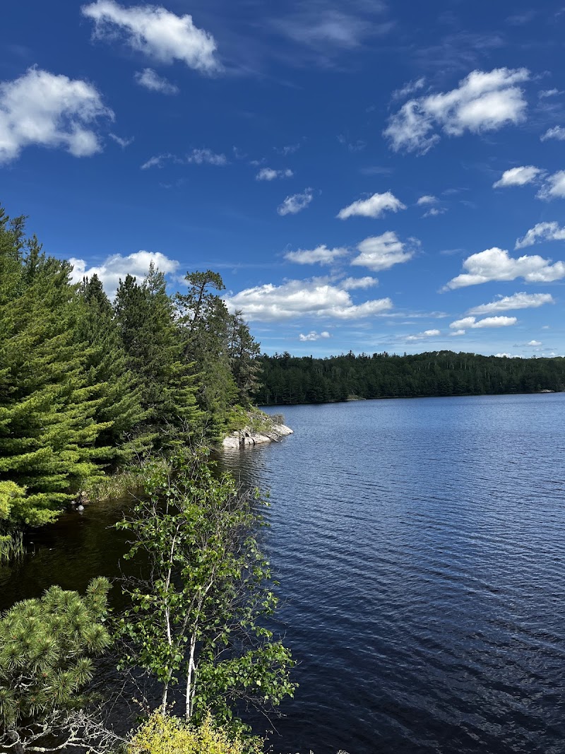 Pioneering Plants Trail