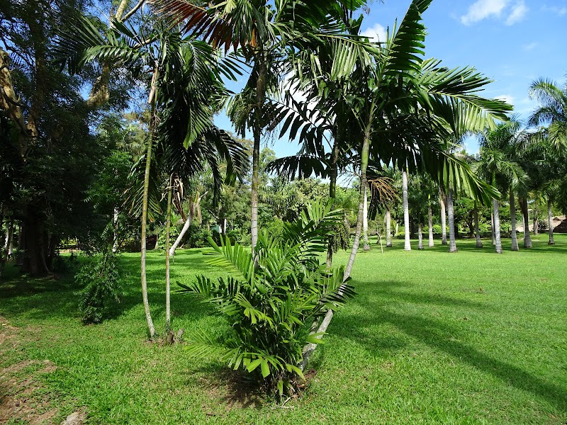 Bulleka Botanic Garden