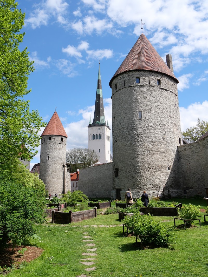 Lower Old Town Walls & Towers