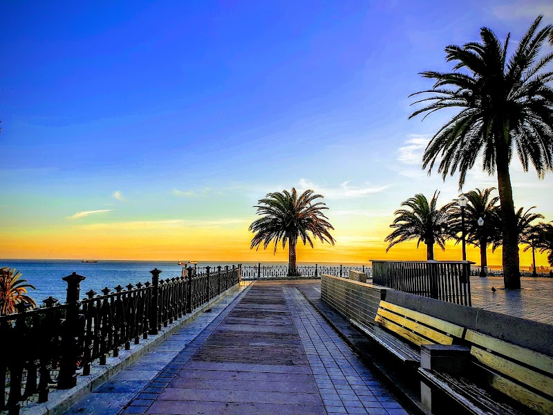 Passeig de les Palmeres