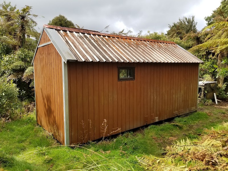 Kaimai Camel Trekking