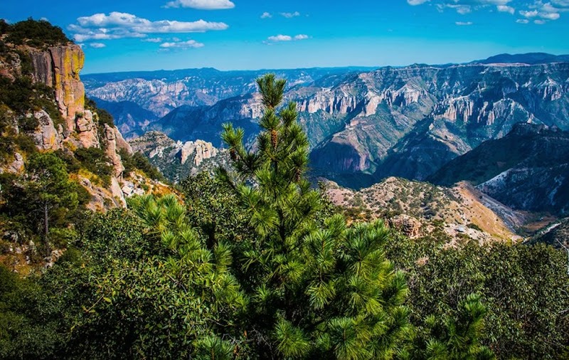 Copper Canyon (Barrancas del Cobre)