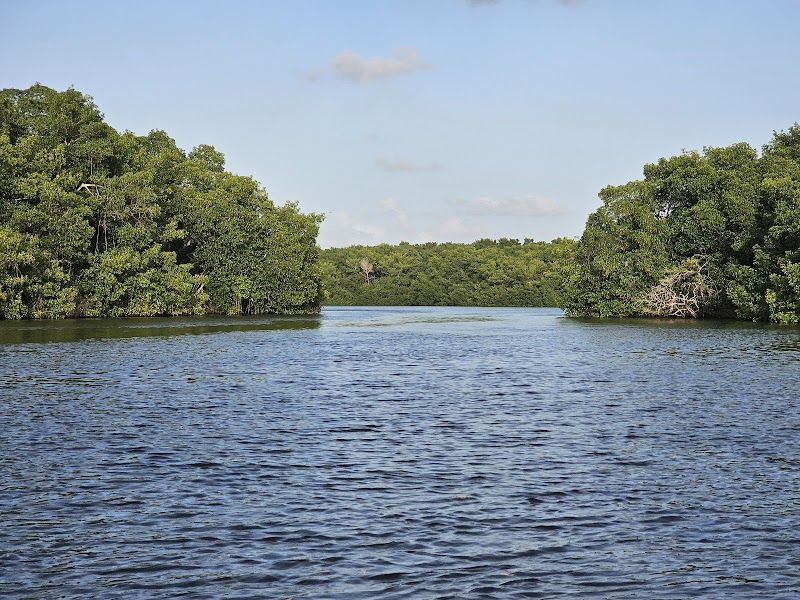 Caroni Swamp Bird Sanctuary