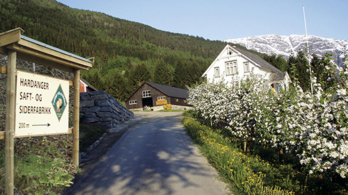 Osa Farm and Cider Tasting