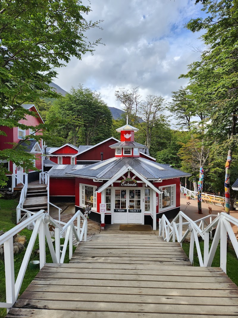 Martial Glacier Hike