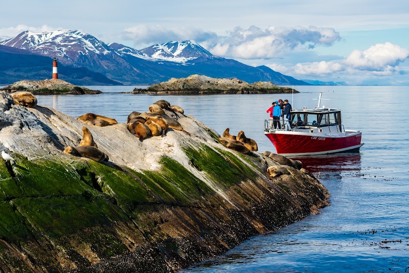 Beagle Channel Cruise