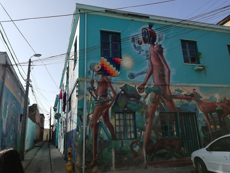 Cerro Polanco Viewpoint