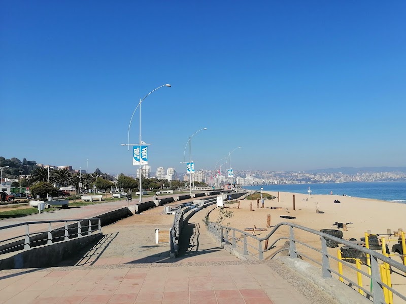 Viña del Mar Beach Day Trip