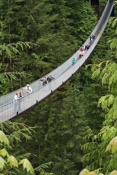 Capilano Suspension Bridge Park