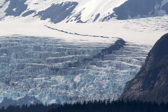 Glacier Quest Cruise