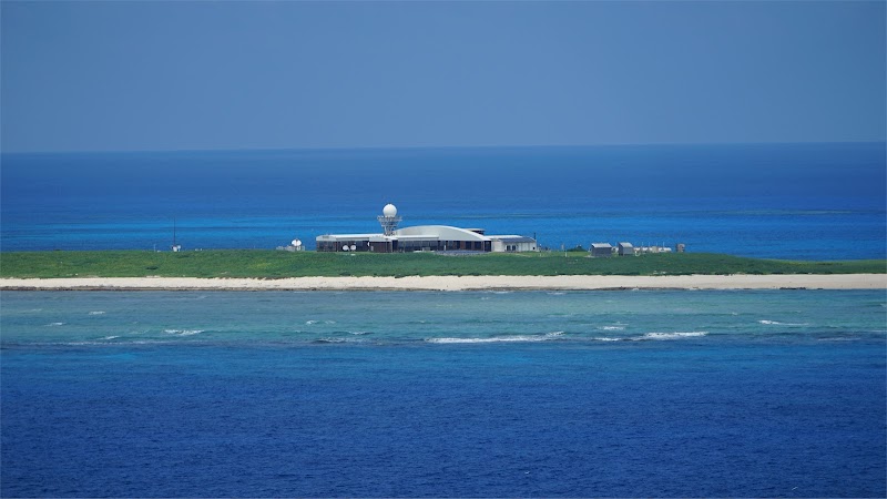 Green Sea Turtle Nesting