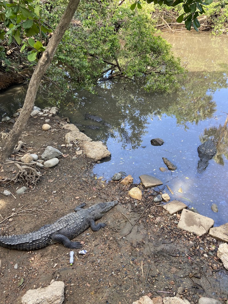 Croco Mundo Zoo
